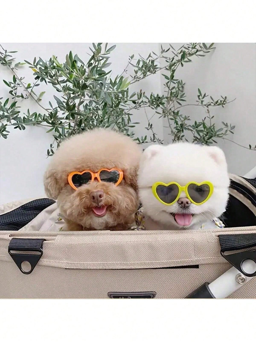PETSIN Pet Heart Shaped Glasses - Funny Photo Props For Dogs And Cats, Cute Accessories, Pet Sunglasses