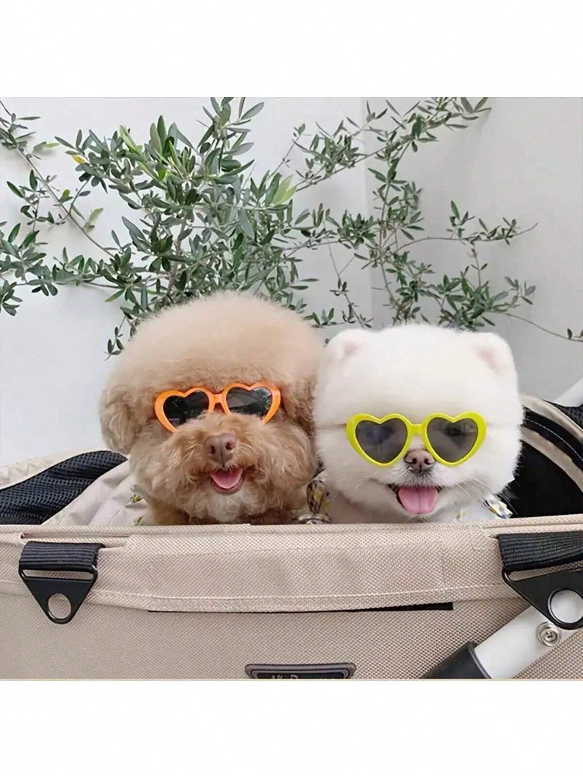 PETSIN Pet Heart Shaped Glasses - Funny Photo Props For Dogs And Cats, Cute Accessories, Pet Sunglasses