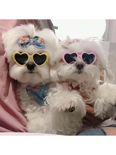 PETSIN Pet Heart Shaped Glasses - Funny Photo Props For Dogs And Cats, Cute Accessories, Pet Sunglasses