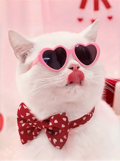 PETSIN Pet Heart Shaped Glasses - Funny Photo Props For Dogs And Cats, Cute Accessories, Pet Sunglasses