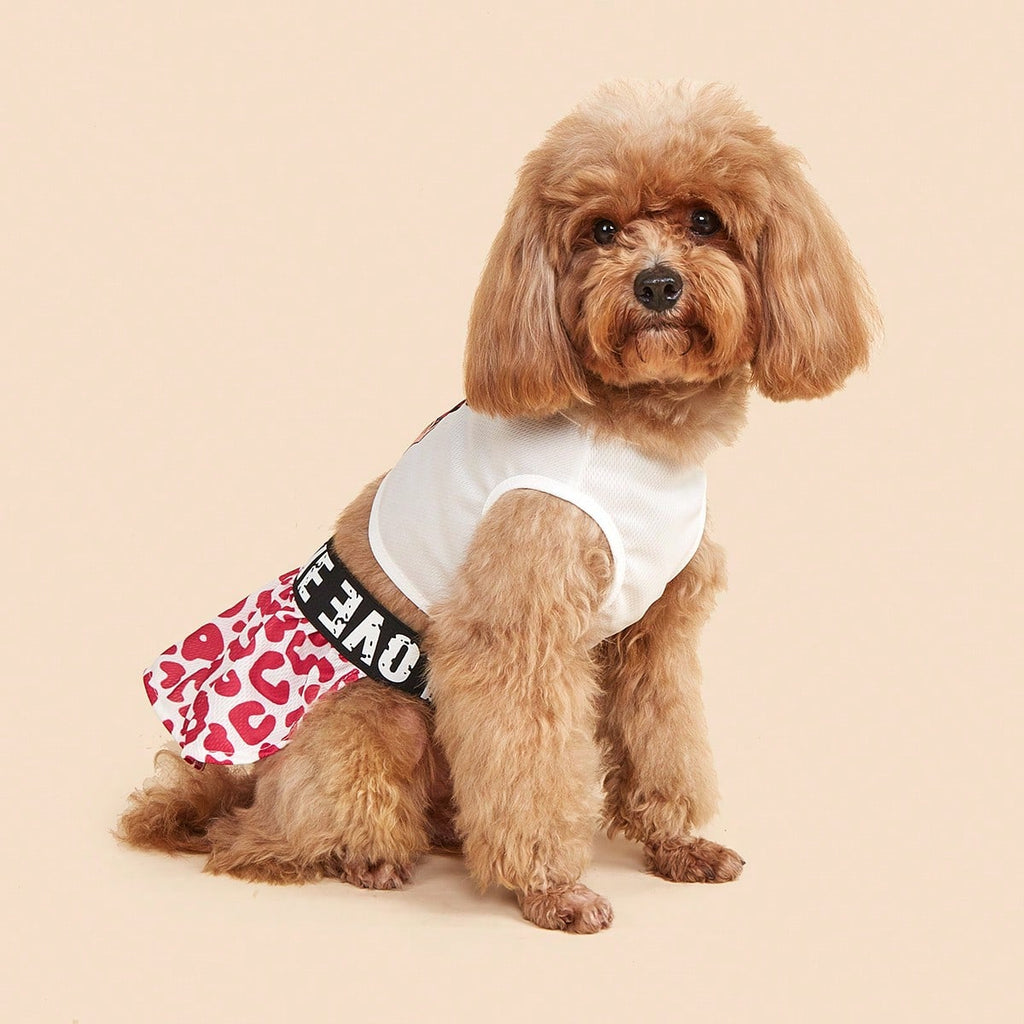 PETSIN 1pc Pet Dog Dress, 2pcs Set Dress, Cartoon Girl Leopard Print Dress, Suitable For Small/Medium , Cats, Lightweight Pet Clothes For Summer