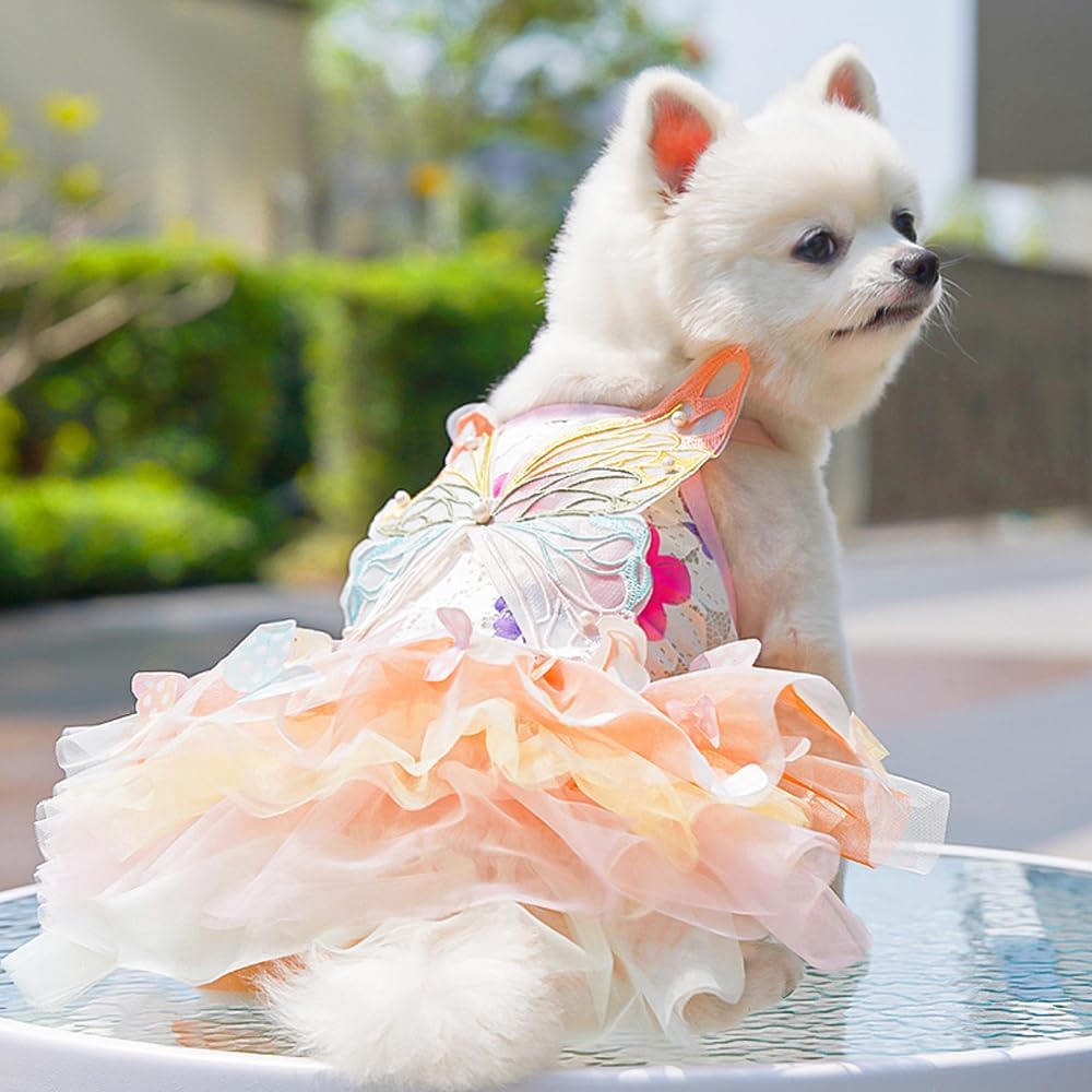 Dog Princess Dress,Summer Thin Cat Rainbow Butterfly Pettiskirt Cute Pet Clothes Chihuahua Teddy Dress Pet Supplies