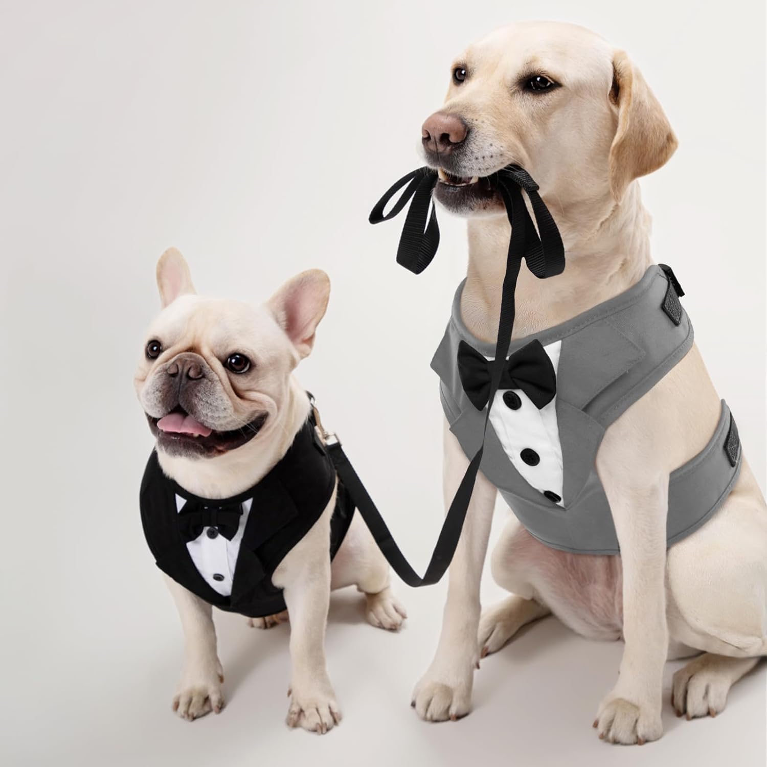 Kuoser Tuxedo Dog Harness, Adjustable No Pull for Small Medium Dogs, Wedding Suit with Bow Tie Party Costume