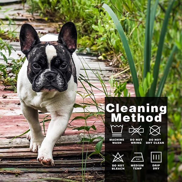 Paiaite Dog Clothes Fashionable Sleeveless Pet Vest: 'Little Miss Sassy' Printed Cotton Dog Shirt, Ideal for Small, Medium, and Large Breeds, Ensuring Comfort and Breathability Purple