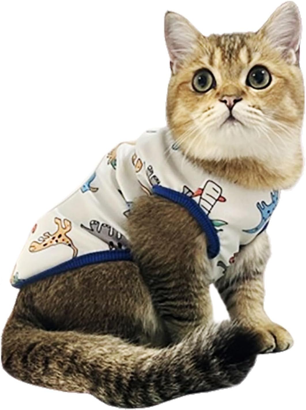 Dog Clothes Puppy Cute Dinosaur Pet Shirt Dog Vest Cat Clothes Doggie Boy Girl T Shirts for Small Dogs Cat Teacup Chihuahua Yorkie (Dino Vest, Medium)