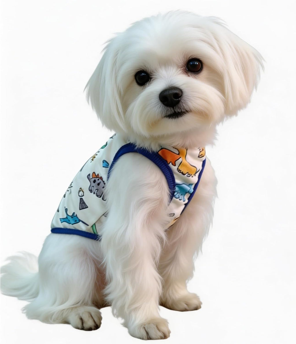 Dog Clothes Puppy Cute Dinosaur Pet Shirt Dog Vest Cat Clothes Doggie Boy Girl T Shirts for Small Dogs Cat Teacup Chihuahua Yorkie (Dino Vest, Medium)