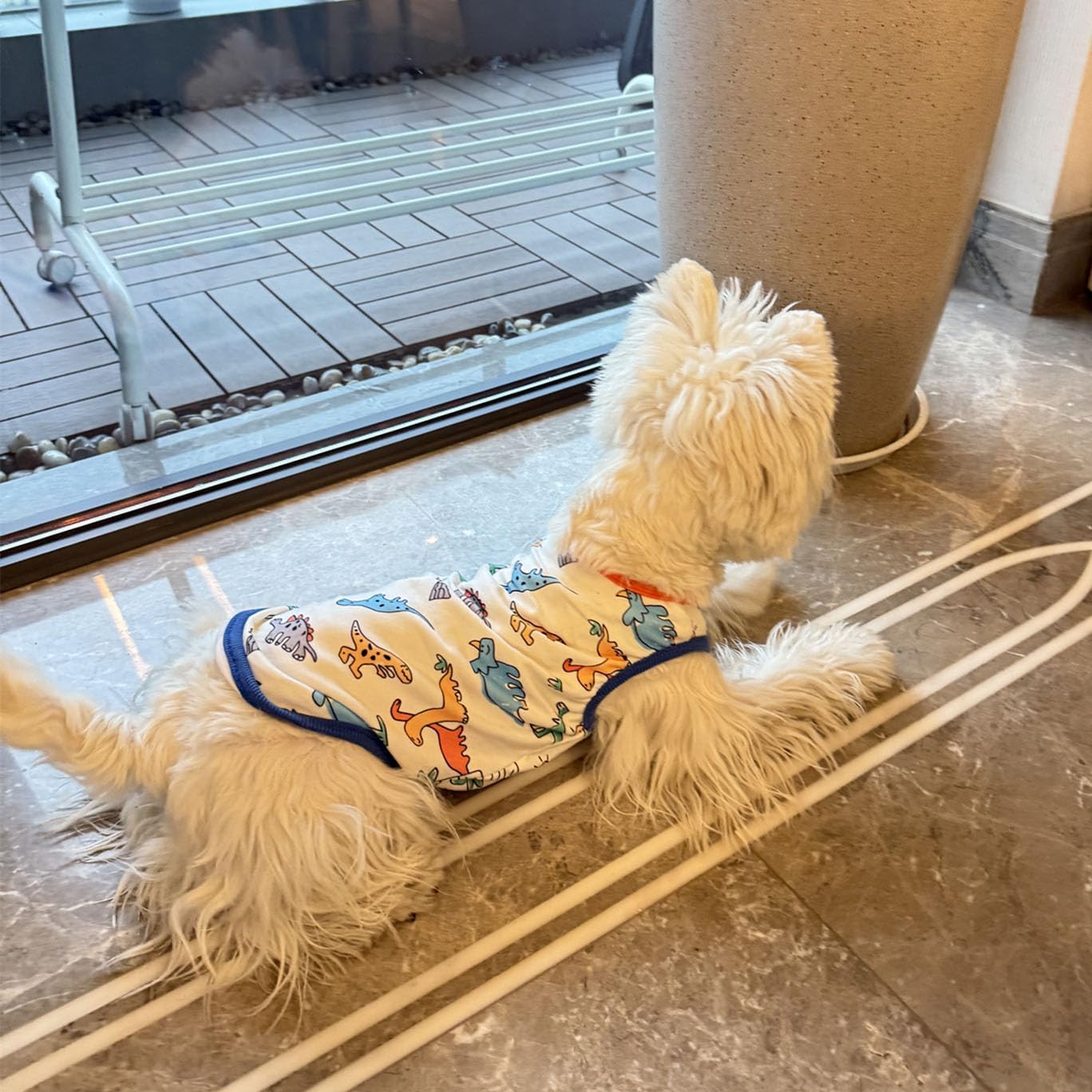Dog Clothes Puppy Cute Dinosaur Pet Shirt Dog Vest Cat Clothes Doggie Boy Girl T Shirts for Small Dogs Cat Teacup Chihuahua Yorkie (Dino Vest, Medium)