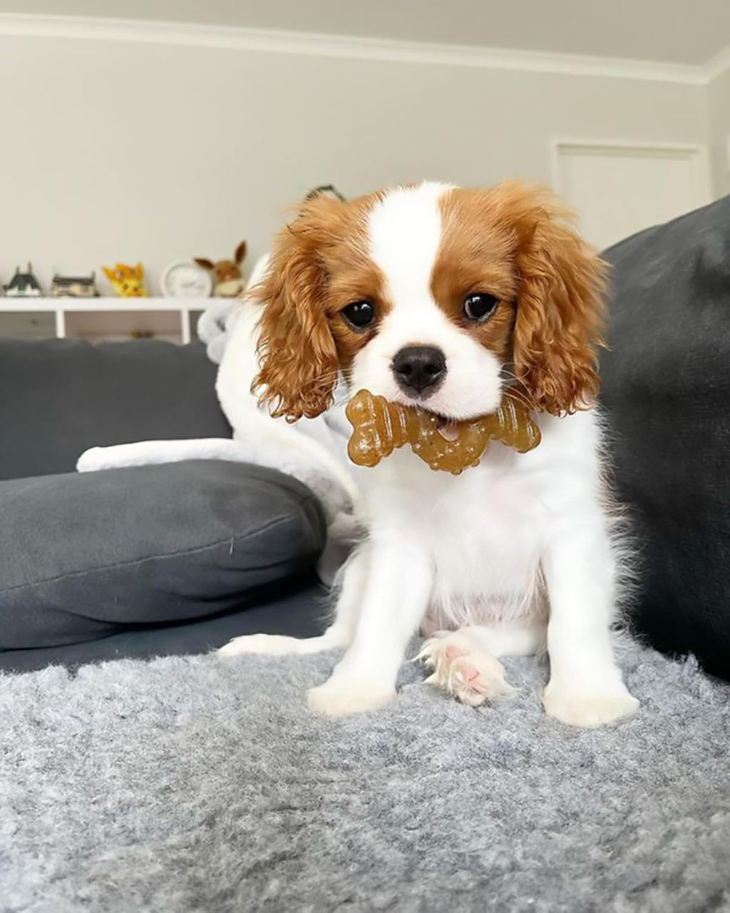 Nylabone Ring Bone Puppy Chew Toy for Puppies, Soothing Teething Toys for Puppies, Puppy Enrichment Toys, Long Lasting Chicken Flavor, For Medium Dogs - Up to 35 lbs, 1 Count