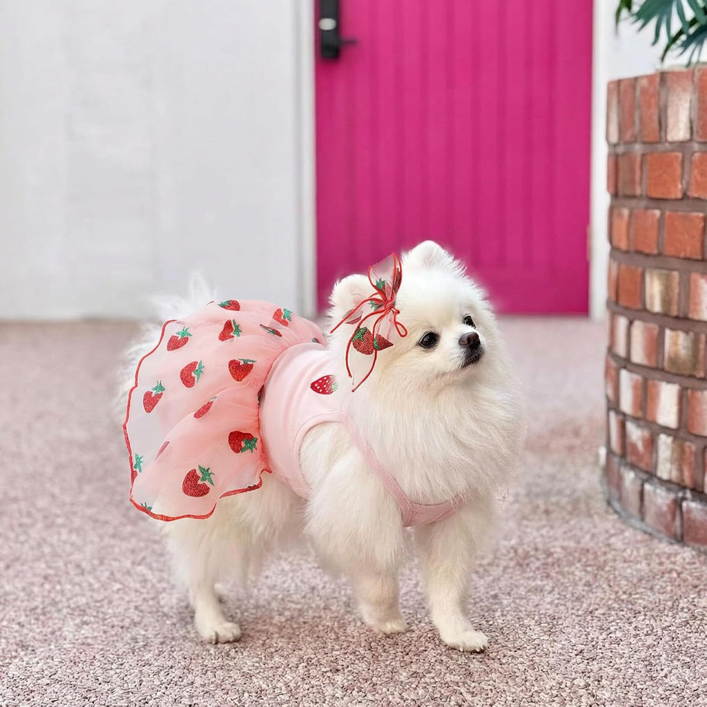 Cute Dog Dress Clothes for Small Dogs Girl with Strawberry Embroidery Soft Princess Puppy Small Cat Dog Clothes Outfit for Chihuahua Yorkie Daily Wear & Party