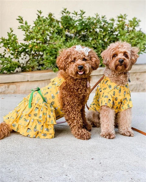 'Cactus Tiered Dress' Dog & Cat Shirt – Tropical Summer Outfit – Yellow