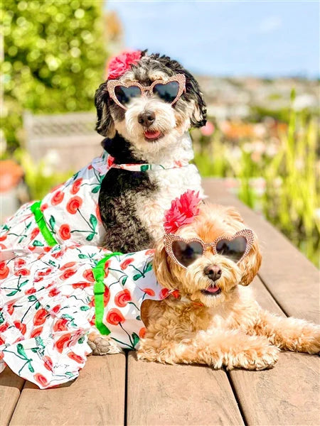 Red Poppies Boho Dress' Dog & Cat T-shirt – Adjustable Floral Pet Dress, Perfect for Summer - Red, White, Green-Valentine's Day